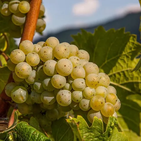 Hotel Landgasthof Winzerscheune Valwig