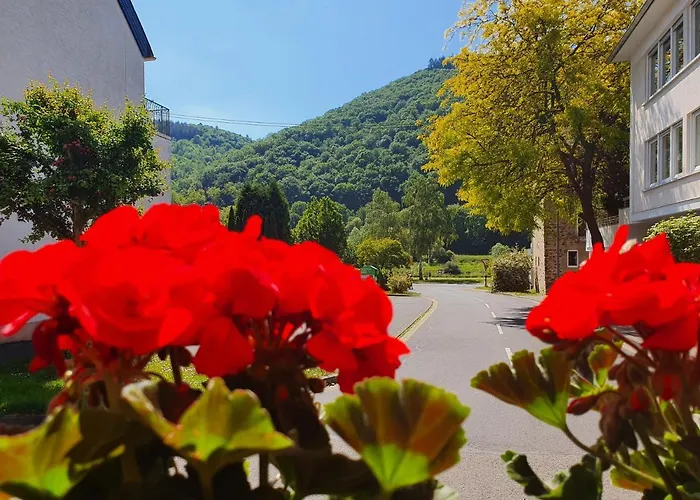 Landgasthof Winzerscheune فندق