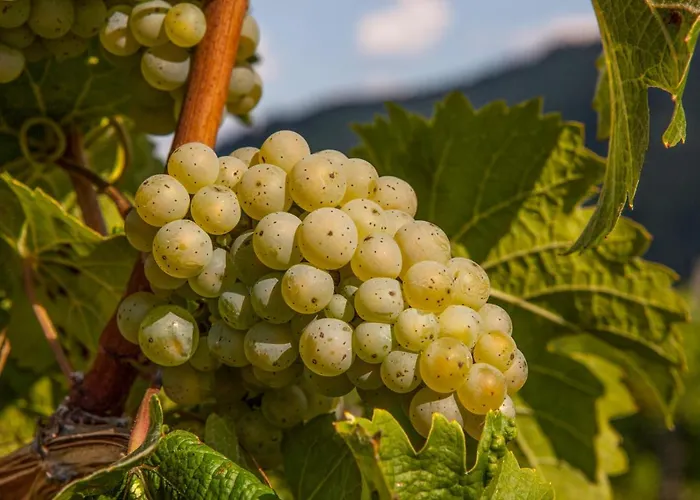 Отель Landgasthof Winzerscheune Фальвиг