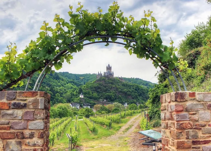 Landgasthof Winzerscheune 3* Фальвиг