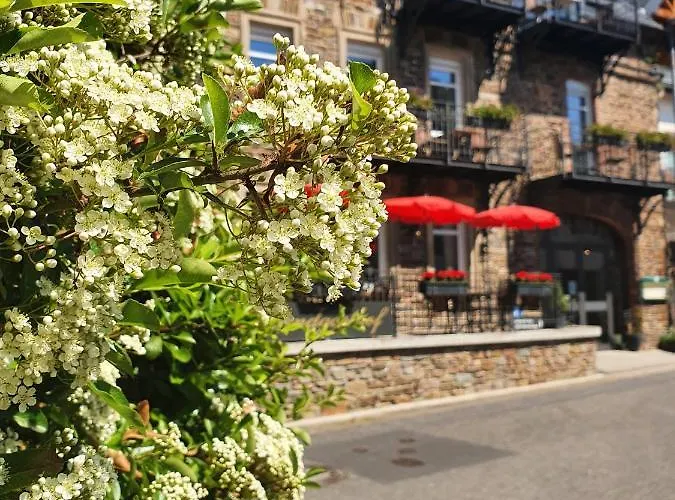 Landgasthof Winzerscheune 3*