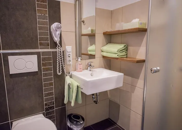 Landgasthof Winzerscheune Отель 3*