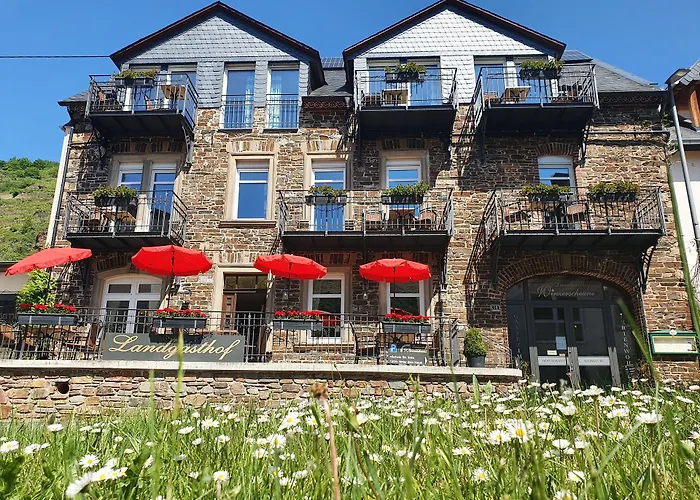 Landgasthof Winzerscheune Фальвиг