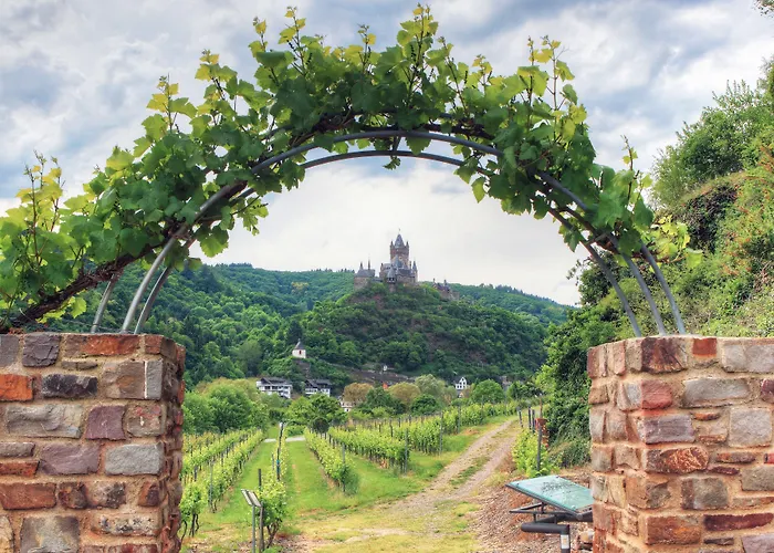 Landgasthof Winzerscheune ולוויג